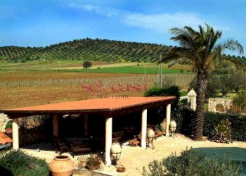 Azienda agricola Capalbio - foto 9