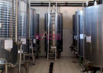 Azienda agricola Capalbio - foto 10