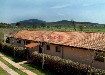 Azienda agricola Capalbio - foto 11