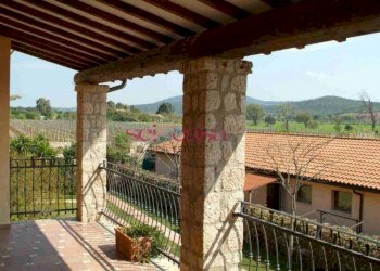 Azienda agricola Capalbio - foto 12