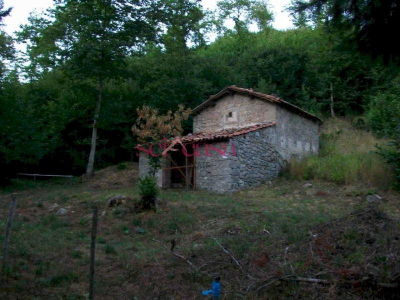 Three-room apartment Santa Fiora - photo 1