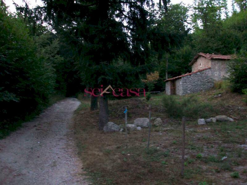 Three-room apartment Santa Fiora - photo 2