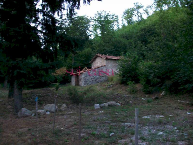 Three-room apartment Santa Fiora - photo 3