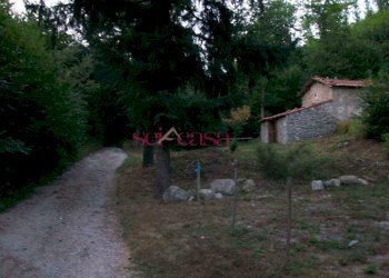 Trilocale Santa Fiora - foto 2