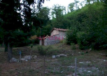 Trilocale Santa Fiora - foto 3