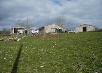 Rustico Scansano - foto 4