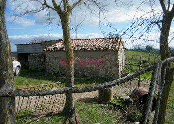 Rustico Scansano - foto 5