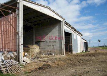 Rustico Scansano - foto 7