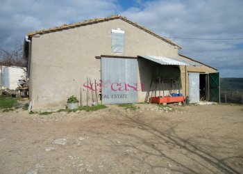 Rustico Scansano - foto 8