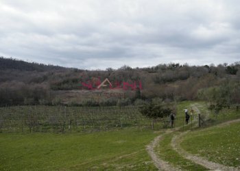 Rustico Scansano - foto 9