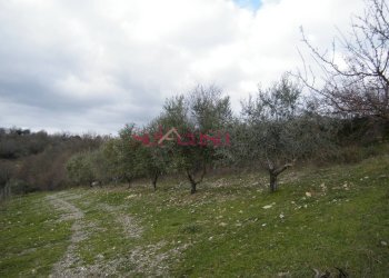 Rustico Scansano - foto 10