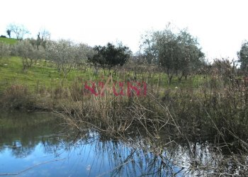 Rustico Scansano - foto 13