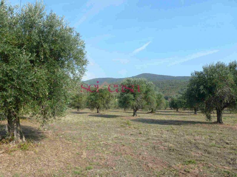 Rustico Castiglione della Pescaia - foto 2