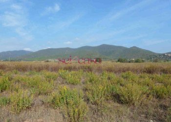 Rustico Castiglione della Pescaia - foto 10