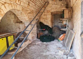 Trullo C.da Fasola, Cisternino - foto 17