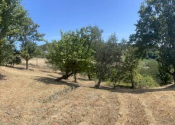 Terreno - Rustico via San Gaudenzo, Montefiore Conca - foto 23