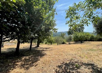 Terreno - Rustico via San Gaudenzo, Montefiore Conca - foto 25