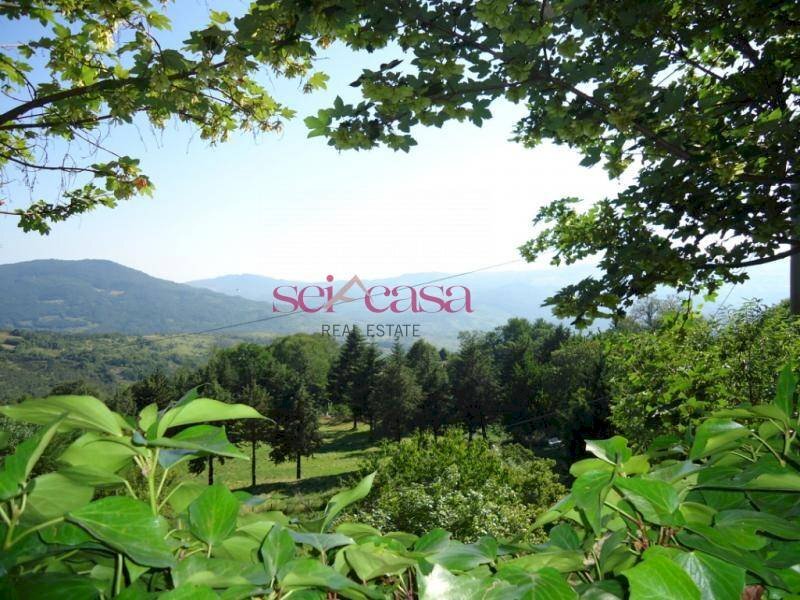 Terraced Villa Santa Fiora - photo 2