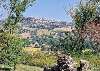 09.jpg - Rustico QC38+9R Todi PG, Todi - foto 9