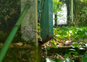 WhatsApp Image 2024-08-08 at 16.05.37 (3).jpeg - Porzione di casa Via Trento e Trieste snc, Calice al Cornoviglio - foto 21