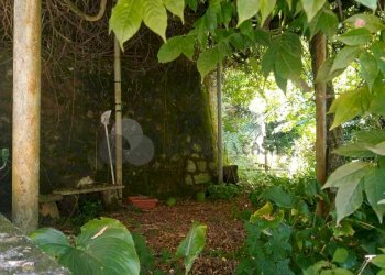 WhatsApp Image 2024-08-08 at 16.05.37.jpeg - Porzione di casa Via Trento e Trieste snc, Calice al Cornoviglio - foto 20