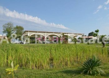 Villa Unifamiliare Camaiore - foto 24