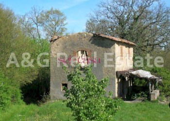 Rustico Monticiano - foto 2