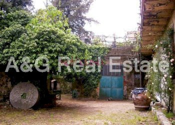 Stabile - Palazzo Scansano - foto 3