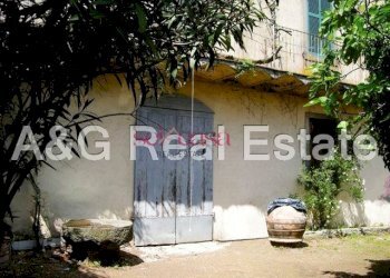 Stabile - Palazzo Scansano - foto 6