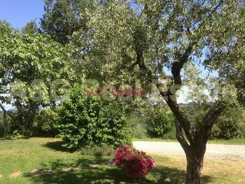 Rustico Scansano - foto 3