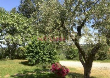 Rustico Scansano - foto 3