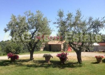 Rustico Scansano - foto 4