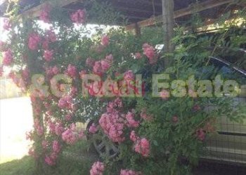 Rustico Scansano - foto 23