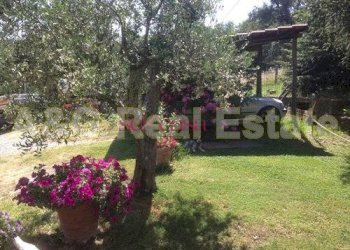 Rustico Scansano - foto 29