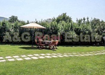 Villa Unifamiliare Gavorrano - foto 3