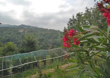 Casa indipendente Cortemilia - foto 5