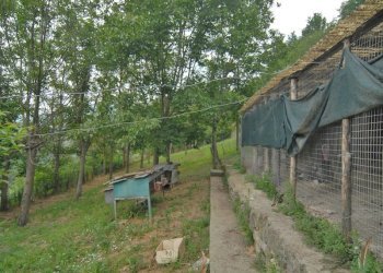 Casa indipendente Cortemilia - foto 21