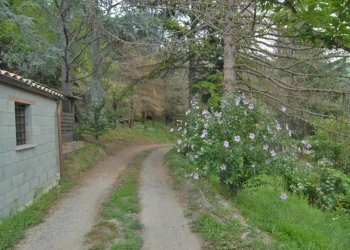 Casa indipendente Cortemilia - foto 24