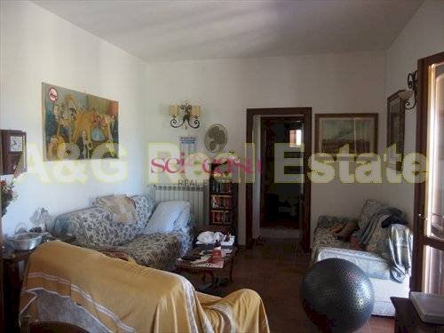 Azienda agricola Magliano in Toscana - foto 2