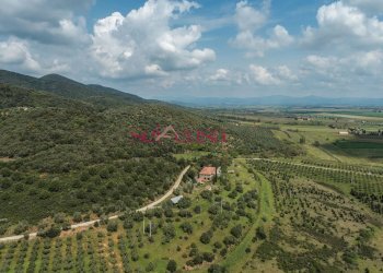 Rustico Castiglione della Pescaia - foto 4