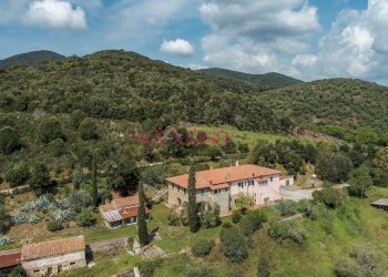 Rustico Castiglione della Pescaia - foto 27