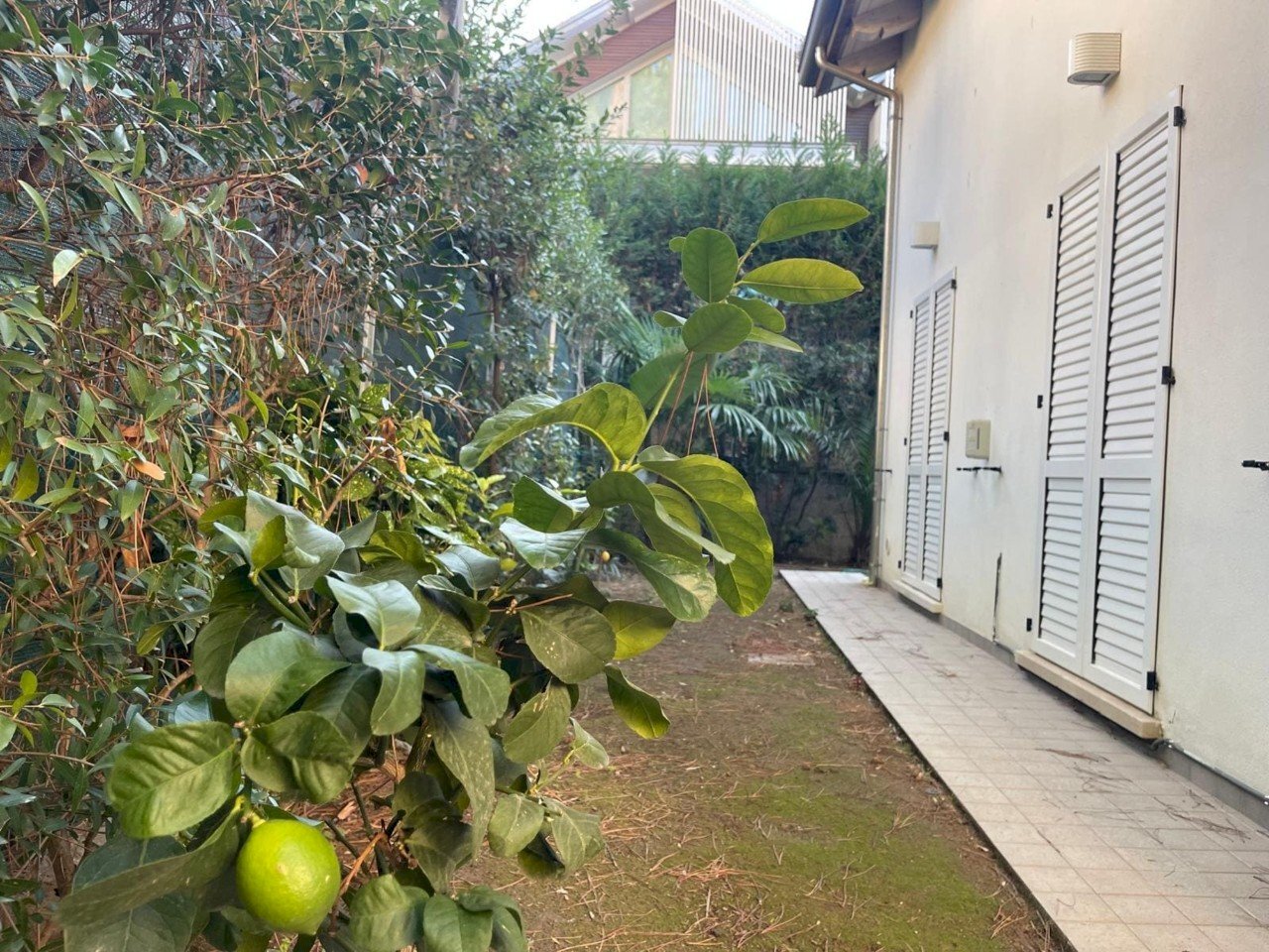 Villetta Cervia - foto 3