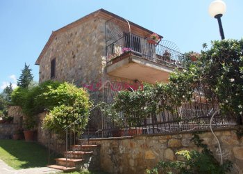 Commercial Activity Scansano - photo 1