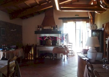 Commercial Activity Scansano - photo 2