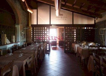 Commercial Activity Scansano - photo 3