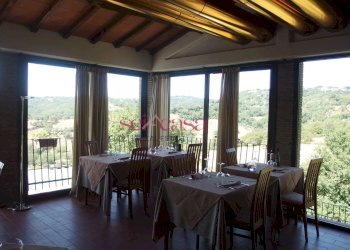 Commercial Activity Scansano - photo 4