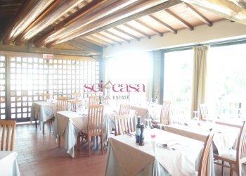 Commercial Activity Scansano - photo 5