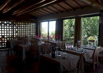 Commercial Activity Scansano - photo 6