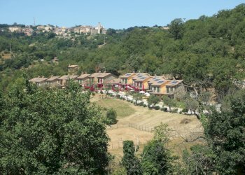 Commercial Activity Scansano - photo 7