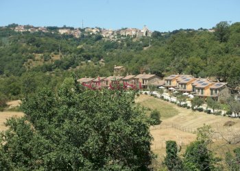 Commercial Activity Scansano - photo 8